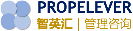 智英汇管理咨询｜Propelever